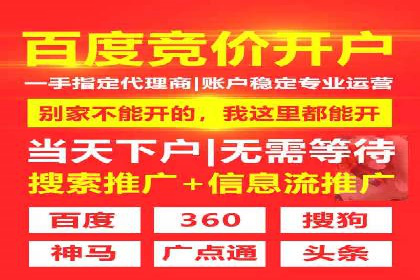 某电商平台的SEM竞价专员成功案例分享